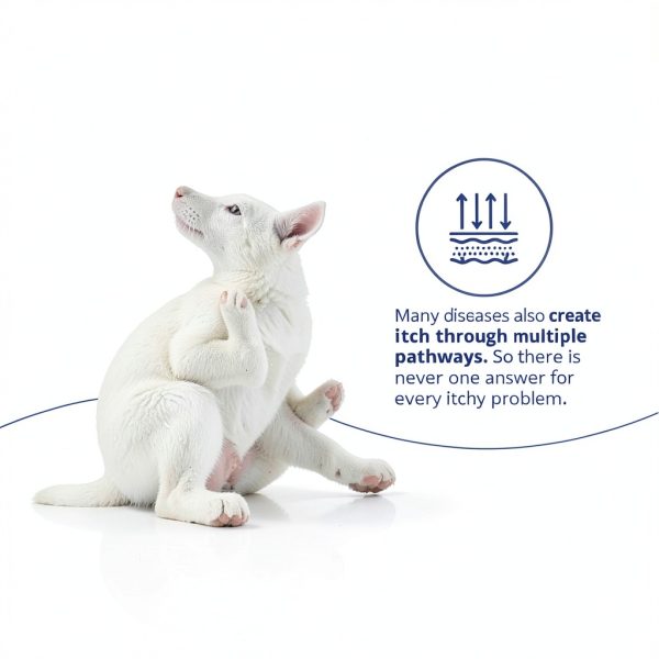 MiconaHex Triz Shampoo for Dogs Cats Horses 8 oz Healthy Skin Formula-5